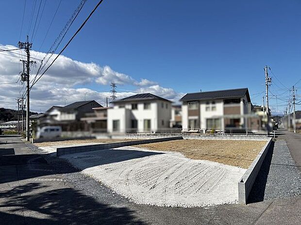 2026/03/08撮影
