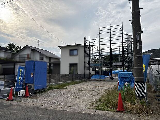 2026/06/19撮影