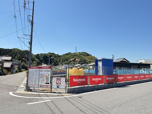 2026/05/05撮影
