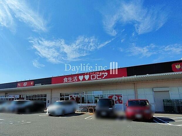 ロピア 柳津店 2020m