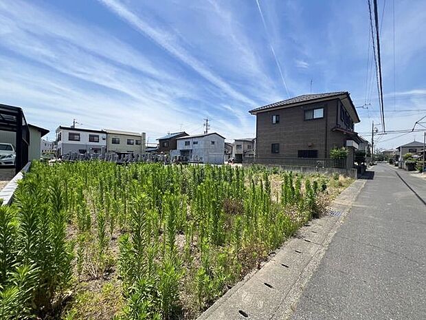 現地（2026年6月）撮影