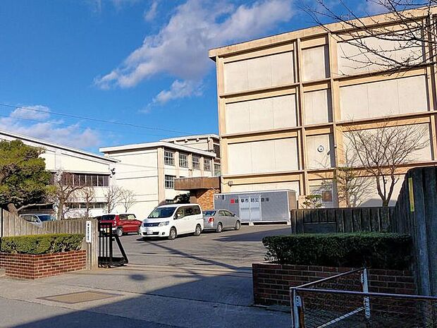 岐阜市立精華中学校 3100m