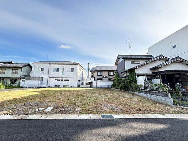 10号地