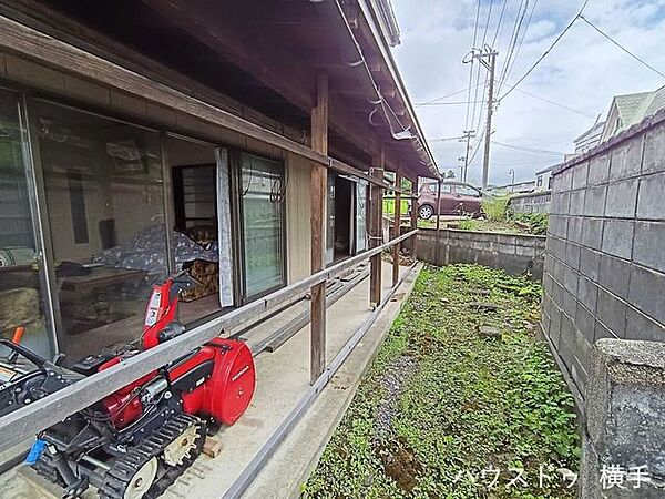 庭