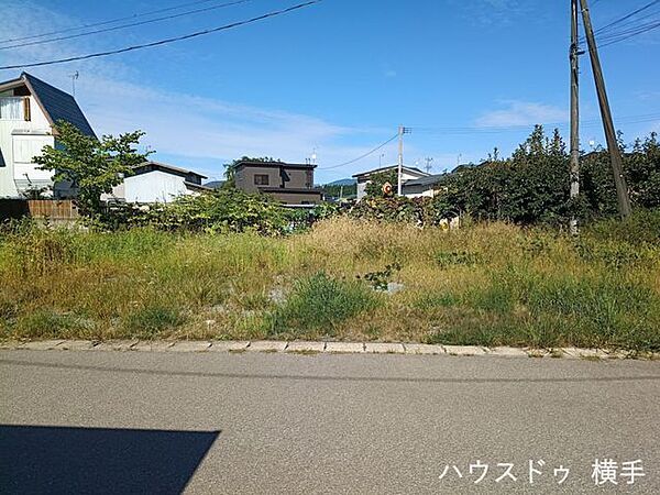 外観：305000008660