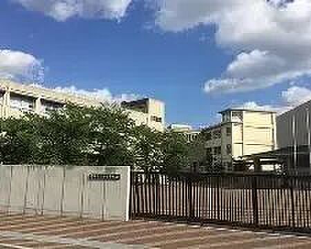 上野芝中学校 750m