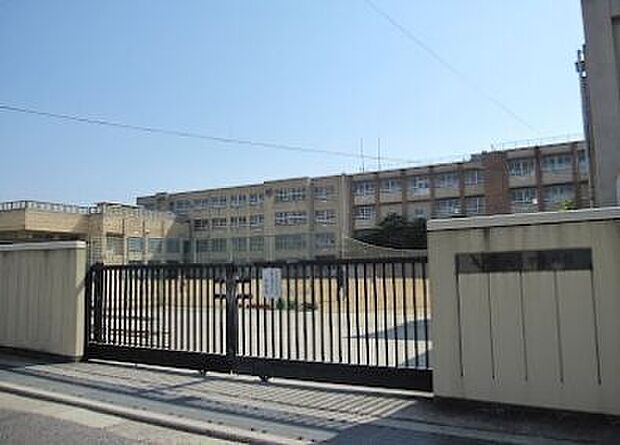榎小学校 900m