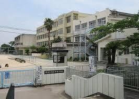 堺市立福泉中央小学校 800m