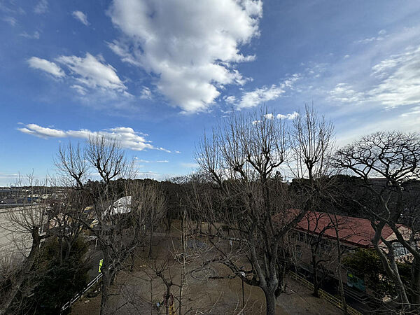 別角度の眺望。公園がありますので、建物は当分建ちません。