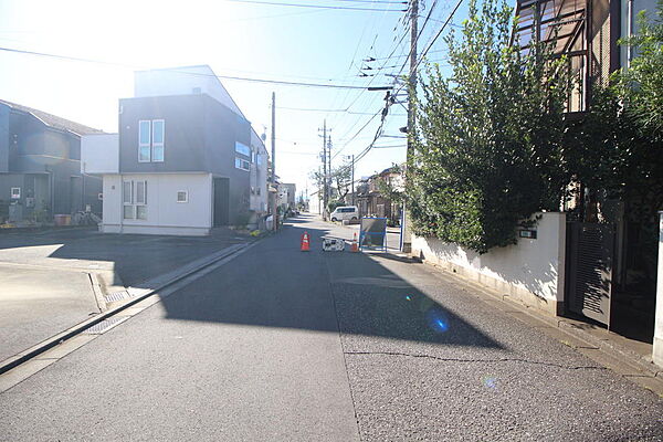 南側接道（6M公道）