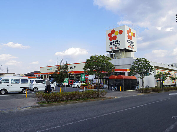 オザムバリュー野上店（約350ｍ）