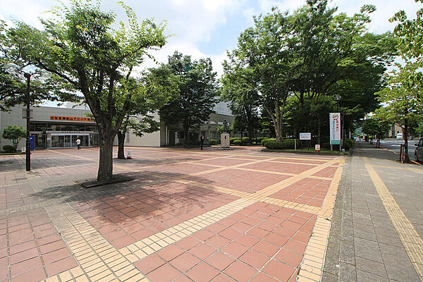 青梅市総合体育館まで徒歩約7分（約550M）