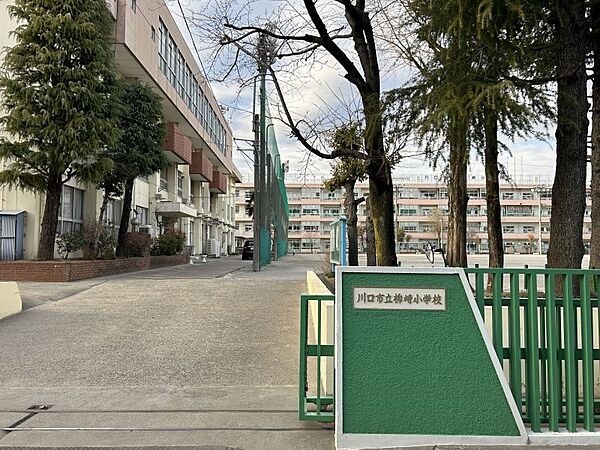 柳崎小学校　徒歩約4分（約286ｍ）教育目標「しなやかな心で、生き生きと学習し、元気よく運動する子」　目指す学校像「あたり前のことが本気でできる柳崎小学校」「保護者・地域に信頼される柳崎小学校」