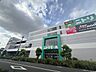 周辺：ニトリモール　東大阪店 800m