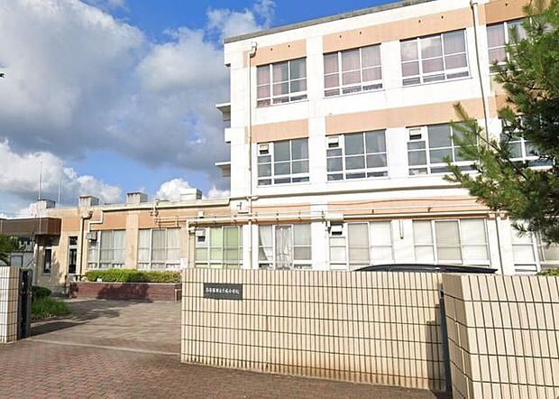 千成小学校 300m