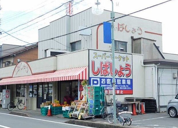 しばしょう 270m