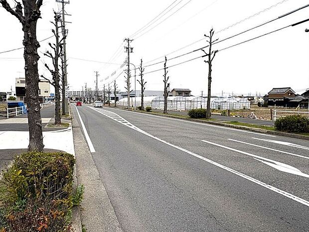 東側前面道路
