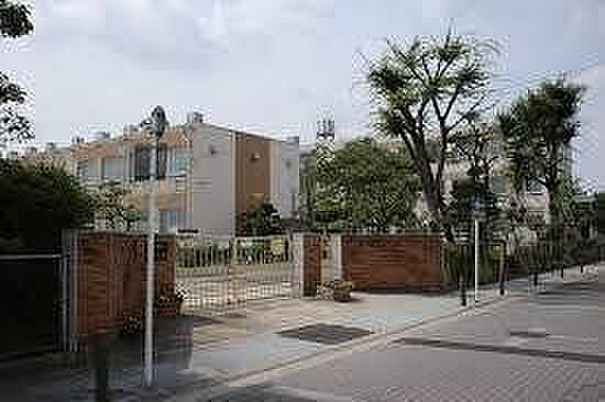 諏訪小学校 240m