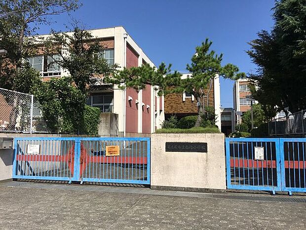 南陽小学校 750m