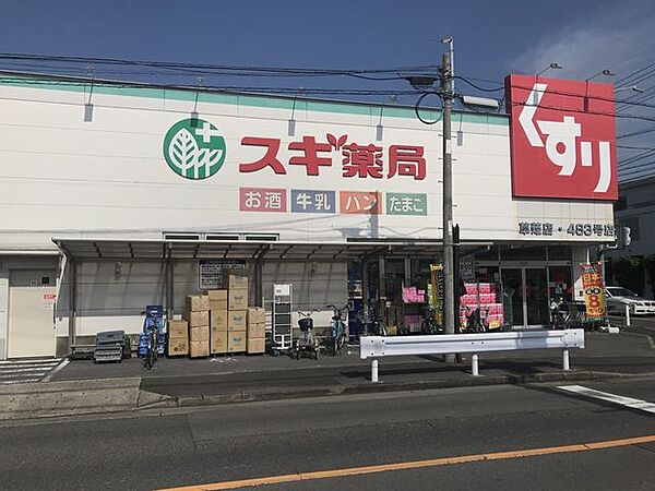 スギ薬局　草薙店 1100m