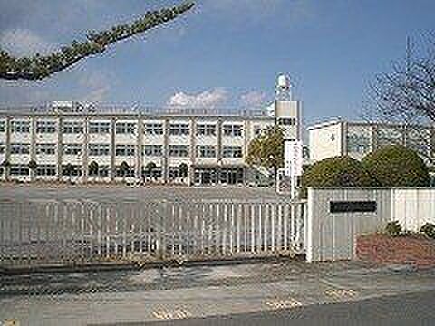 篠田小学校 10m