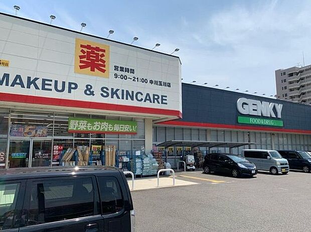 ゲンキー玉川店 650m