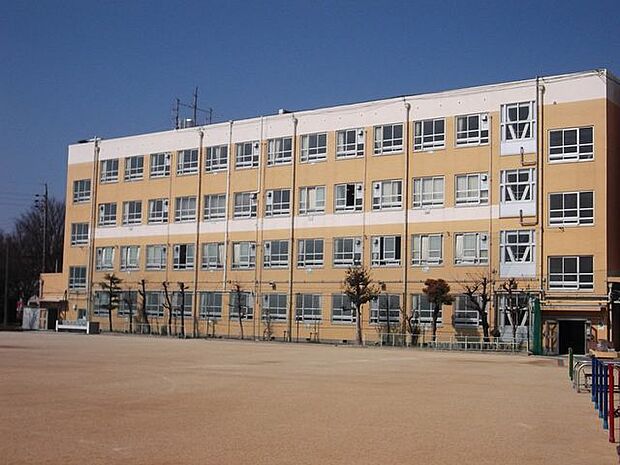 八幡小学校 500m