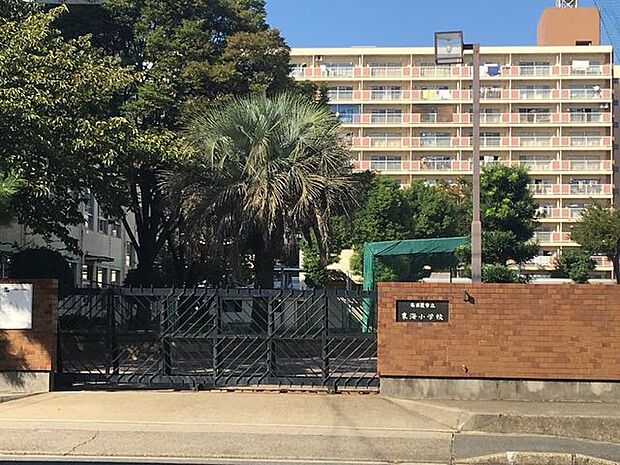 東海小学校 550m