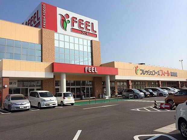 フィール 富田店 1300m