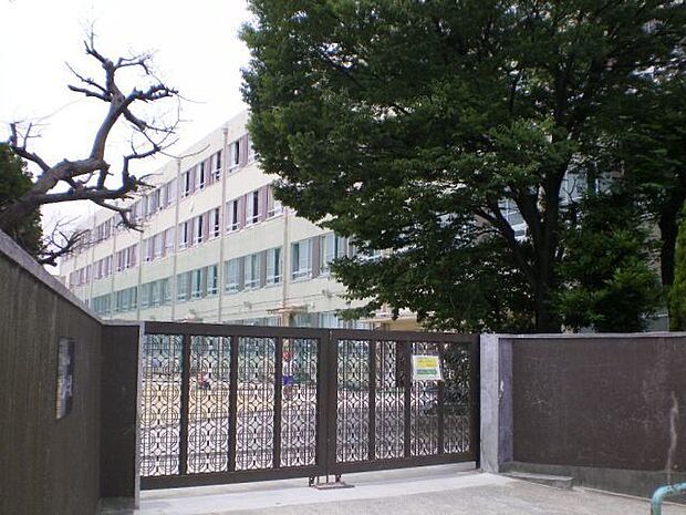 中島小学校 800m