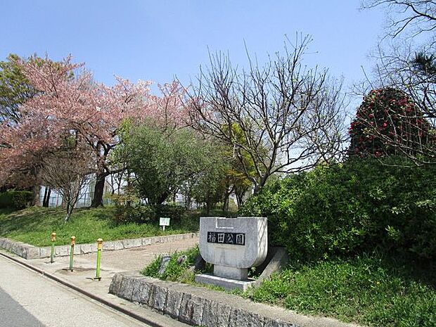 福田公園 300m