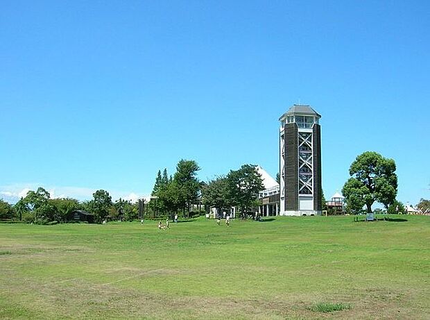 戸田川緑地 350m