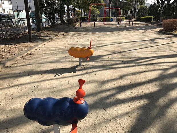 白山公園 100m