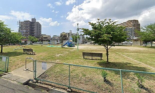 深野公園 50m