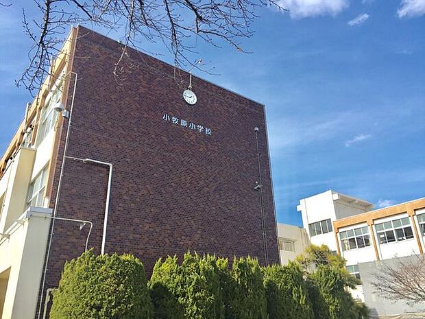 小牧市立小牧原小学校　 小牧原小学校 550m