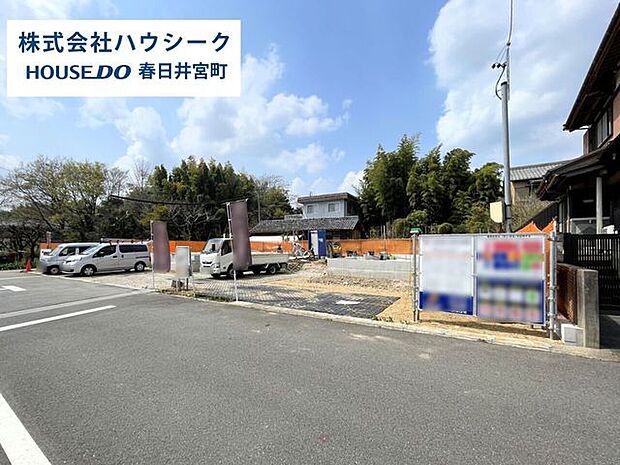 全体 2026年3月30日撮影お気軽にお問合せくださいませ♪