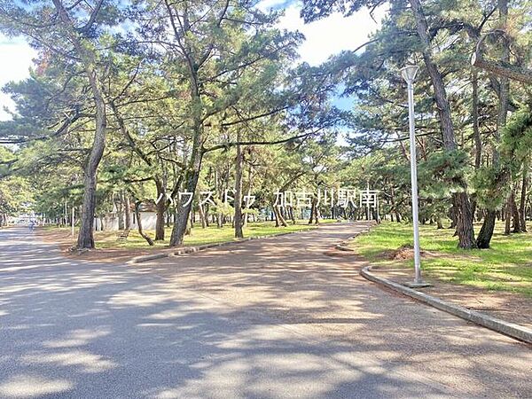 浜の宮公園 470m
