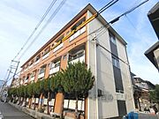 悠ハイツ 1階 築50年3ヶ月の賃貸物件