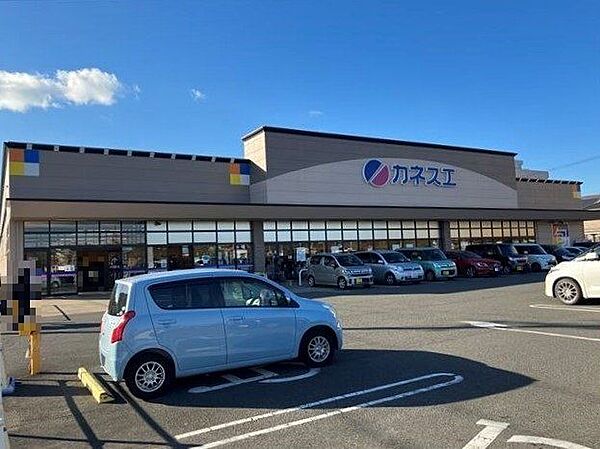 カネスエ北園通店大型のスーパーマーケットで、さまざまな商品をお値打ち価格で提供しています。商品の良さや、価格に、地域の消費者の皆様の評価いただいています。営業時間：8:00-21:00駐車 380m