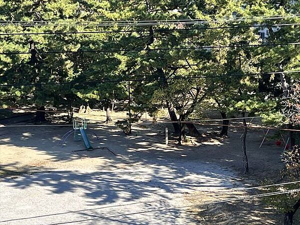 鵜の森公園和風庭園、池、遊具を設置する広場がある公園。菓子と抹茶を提供する茶室を併設する。園内に桜が植栽され、毎年春に桜まつりが開催される。遊び場；滑り台、ブランコ犬の同伴可 390m