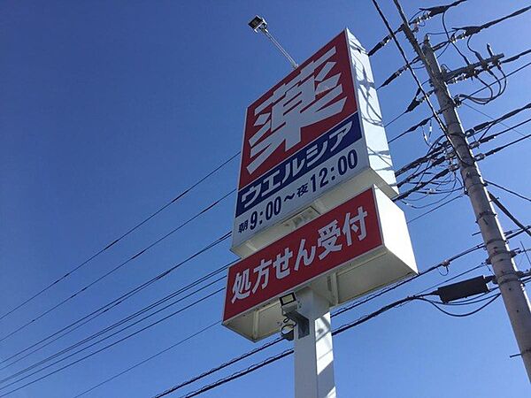 その他環境写真 230m ウエルシア　寄居富田店()