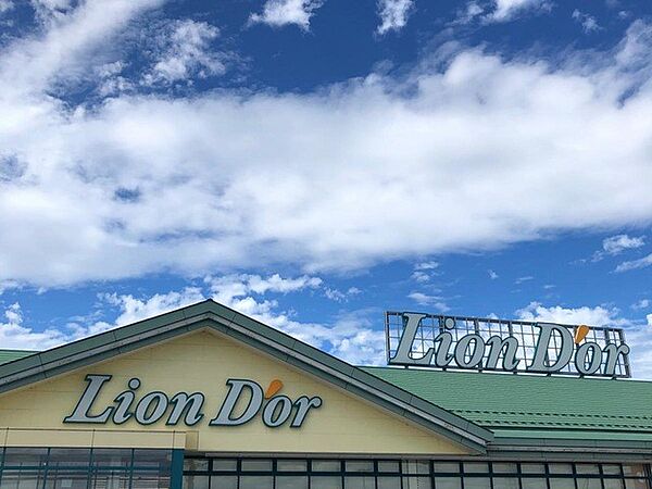 スーパー 1000m リオン・ドール巻店
