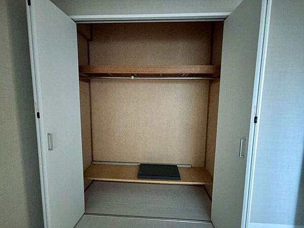 ハンガーにかけたまま整理できるクローゼット収納です