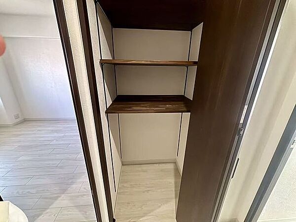 仕切り棚が付いており、整理整頓がしやすい便利な収納スペースです