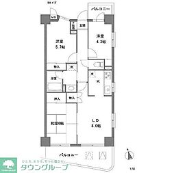 ラヴィータ谷塚駅前I 2階1LDKの間取り