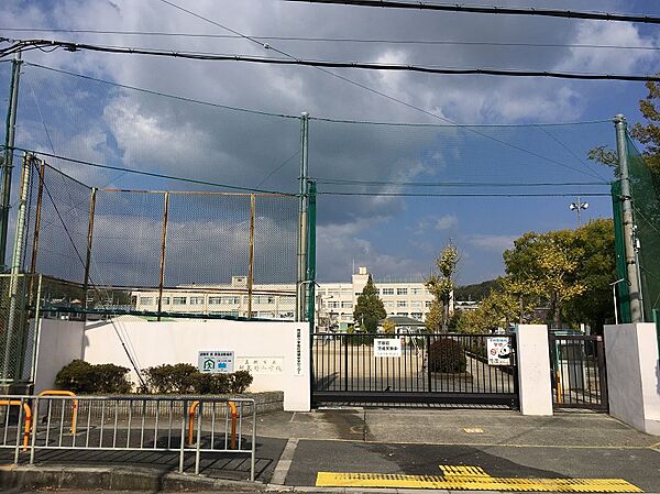 高槻市立阿武野小学校（1499m）