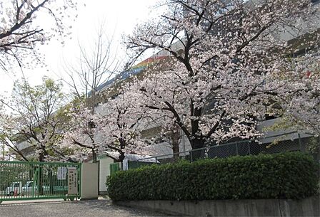 吹田市立山田第三小学校(810m)