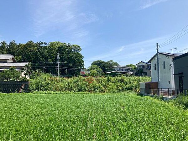 ゆったり流れる時間の中で、のびのびと過ごせます