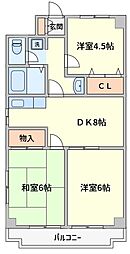 レジデンス富美浜 4階3DKの間取り