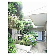 コンステレーション鵠沼 1階 築38年7ヶ月の賃貸物件